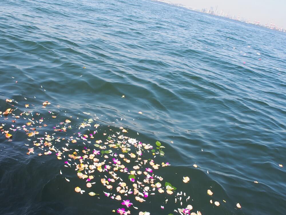海面にできた美しい花道