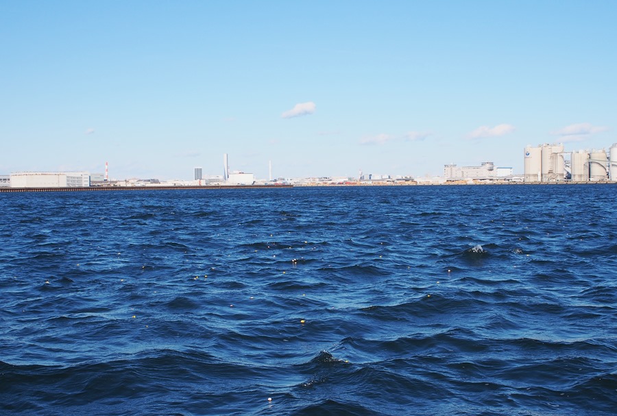 東京湾に浮かぶ花びら