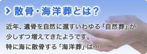 散骨・海洋葬とは？ 近年、遺骨を自然に還すいわゆる「自然葬」が少しずつ増えてきたようです。 特に海に散骨する「海洋葬」は… 