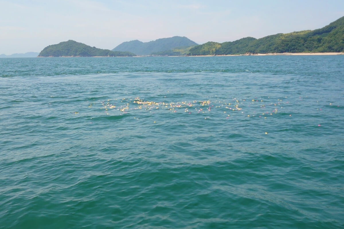 瀬戸内海に広がる花びら