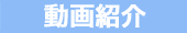 動画紹介