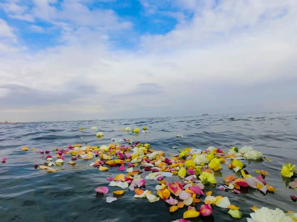 献花