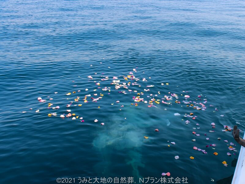 3.花びらに見送られ海へ還る