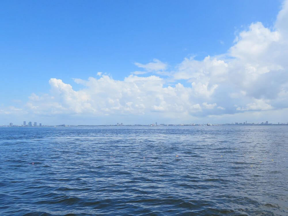 4.お仕事をされていた海へ