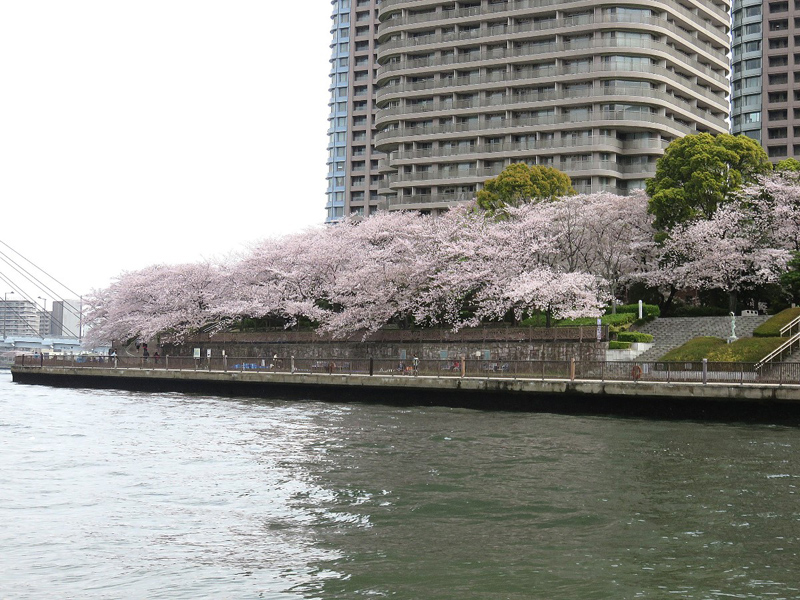 8.帰港