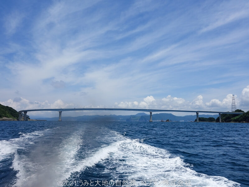 1.伊王島大橋