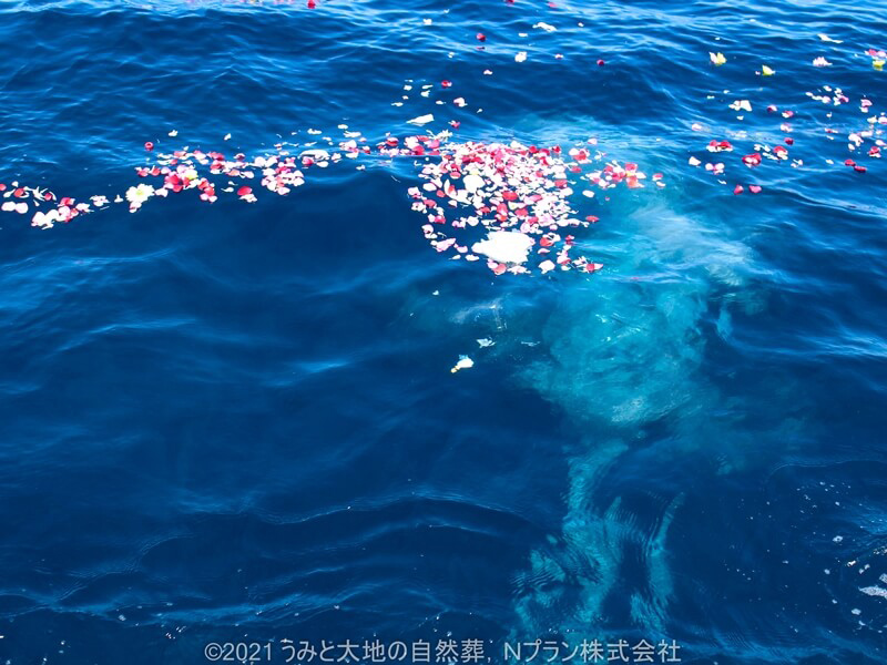 7.透明な海とひとつに