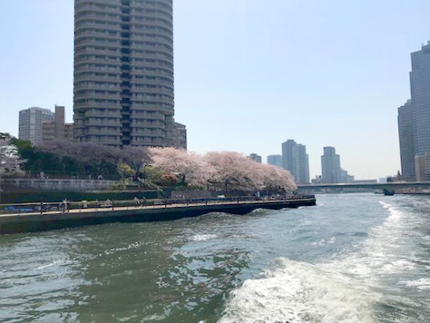 10.越中島桟橋乗船場へ帰港