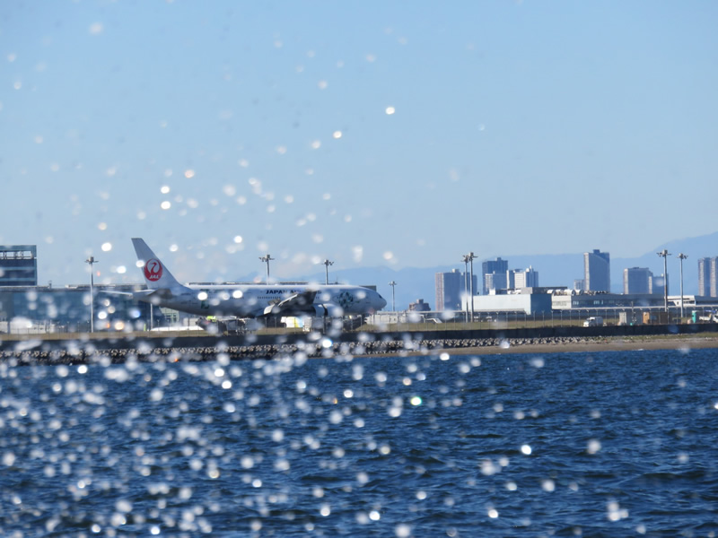 7.多くの飛行機を見物しながら