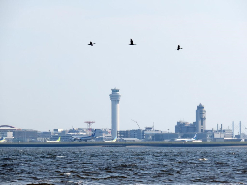 5.羽田空港沖へ到着