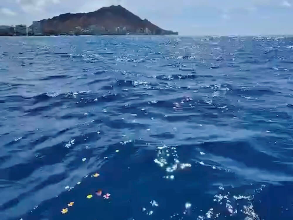 5.プルメリアの花とダイヤモンドヘッド