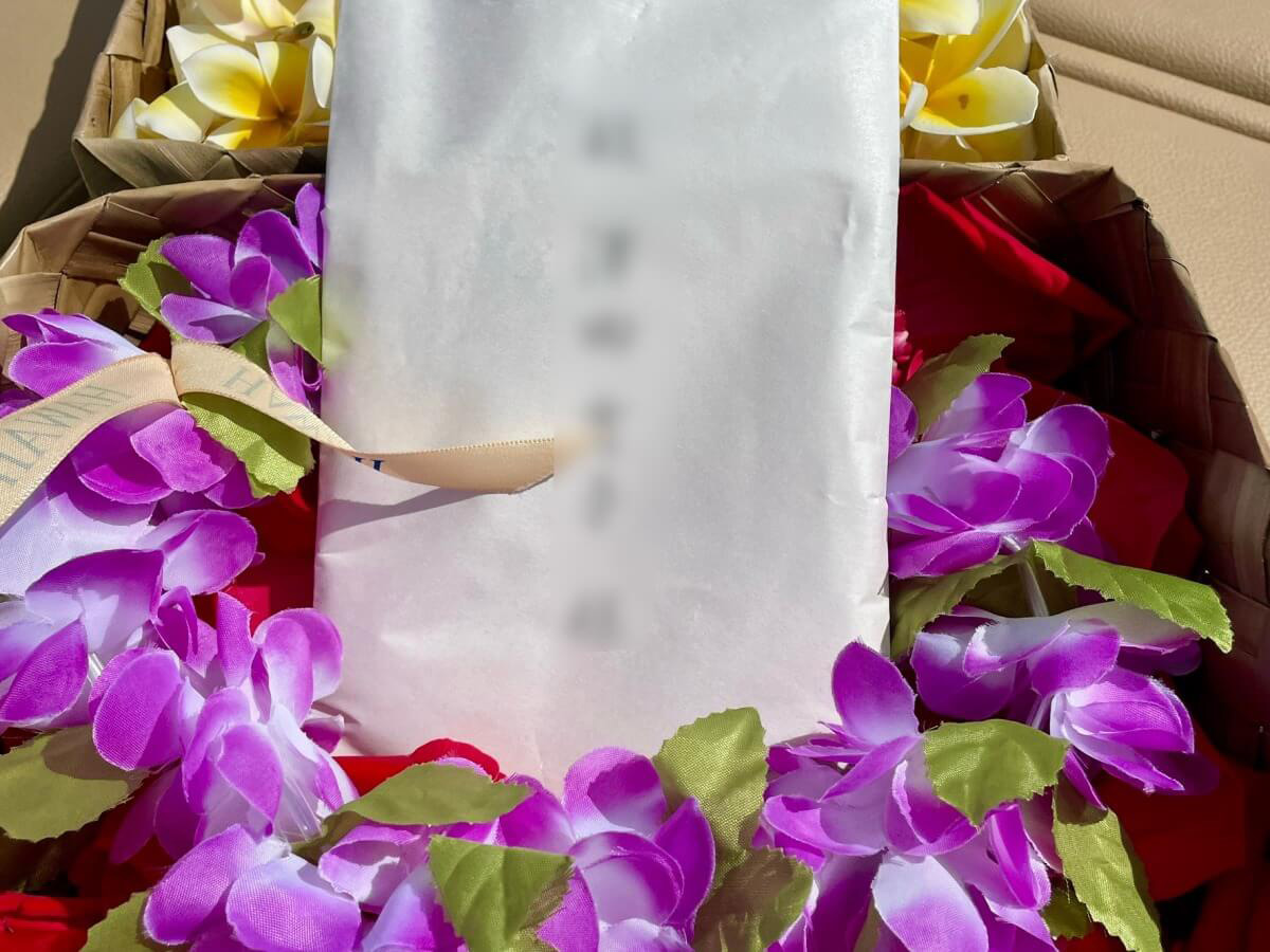 2.レイとともに散骨します