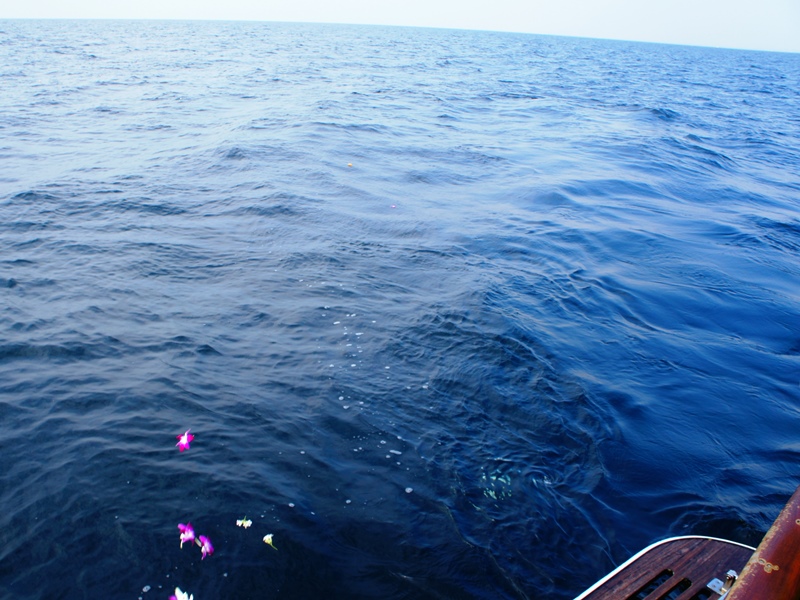 10.遺骨が青い海へ広がっていきます