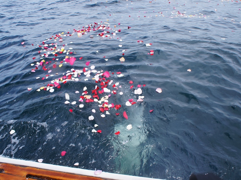 7.深い蒼い海にしっかりと遺骨が見えます