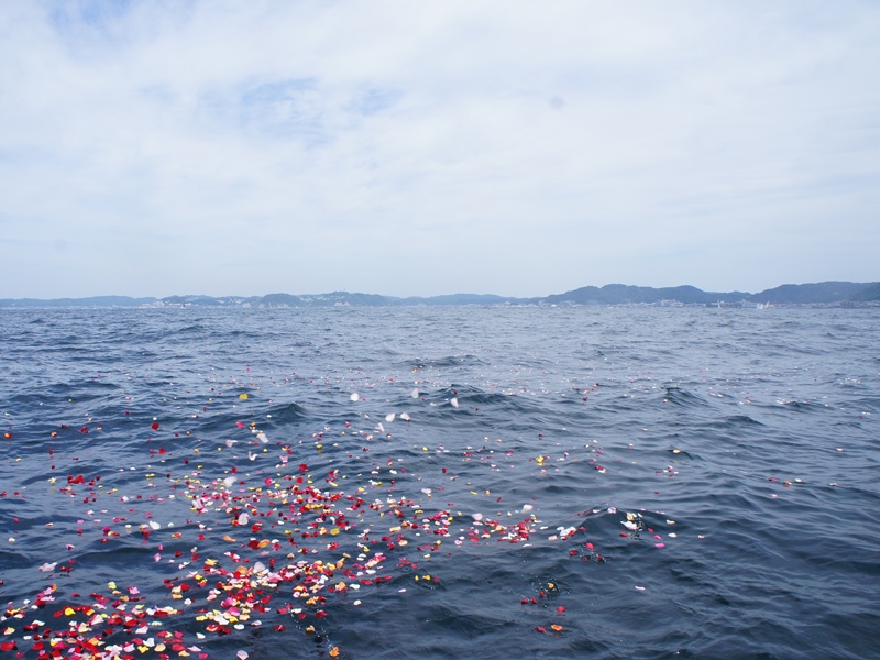 9.広い葉山の海に花びらが広がっていきます