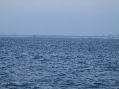 3.遠くに烏帽子岩の見える海域