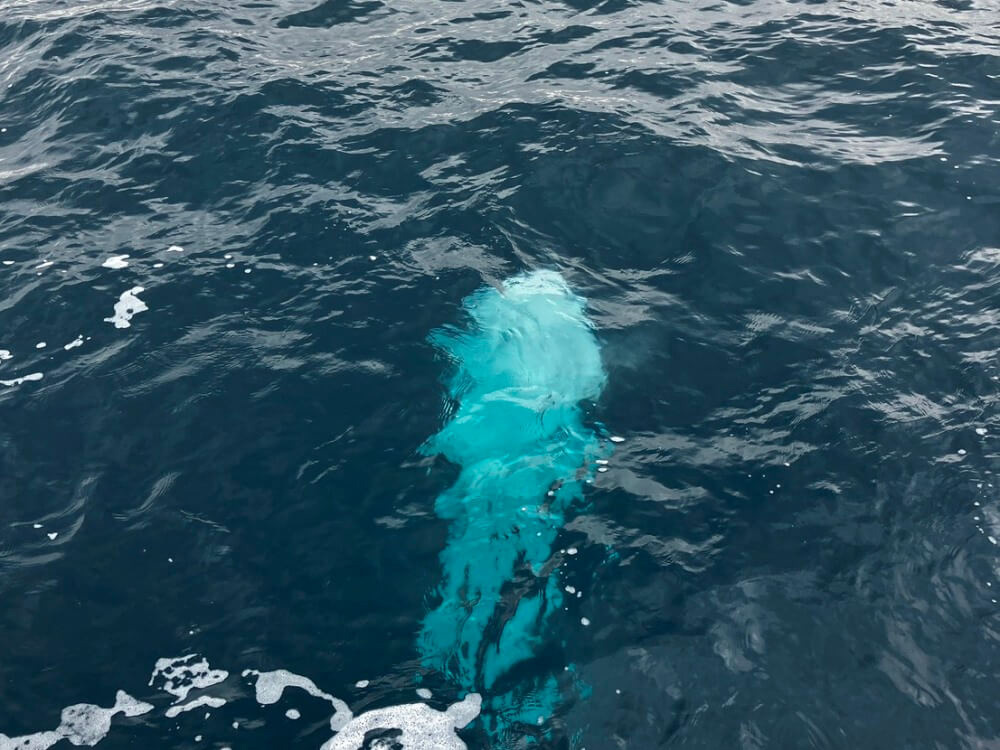 3.故人様が新たに旅立つ神聖な瞬間