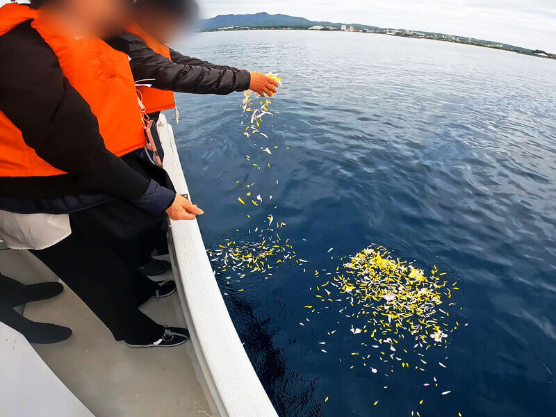 2.鮮やかな花びらが海を彩ります