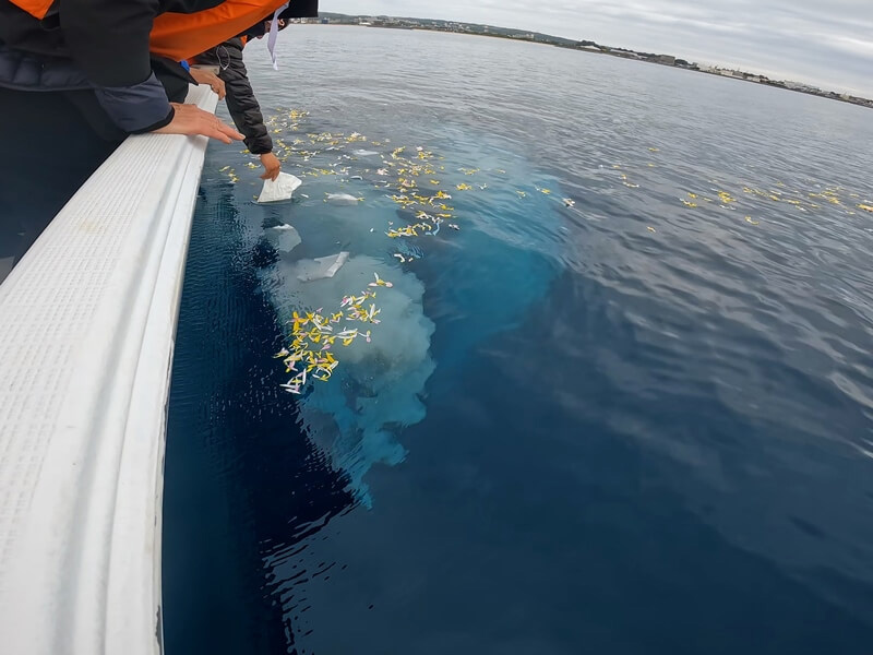 4.名護湾の澄んだ海へ