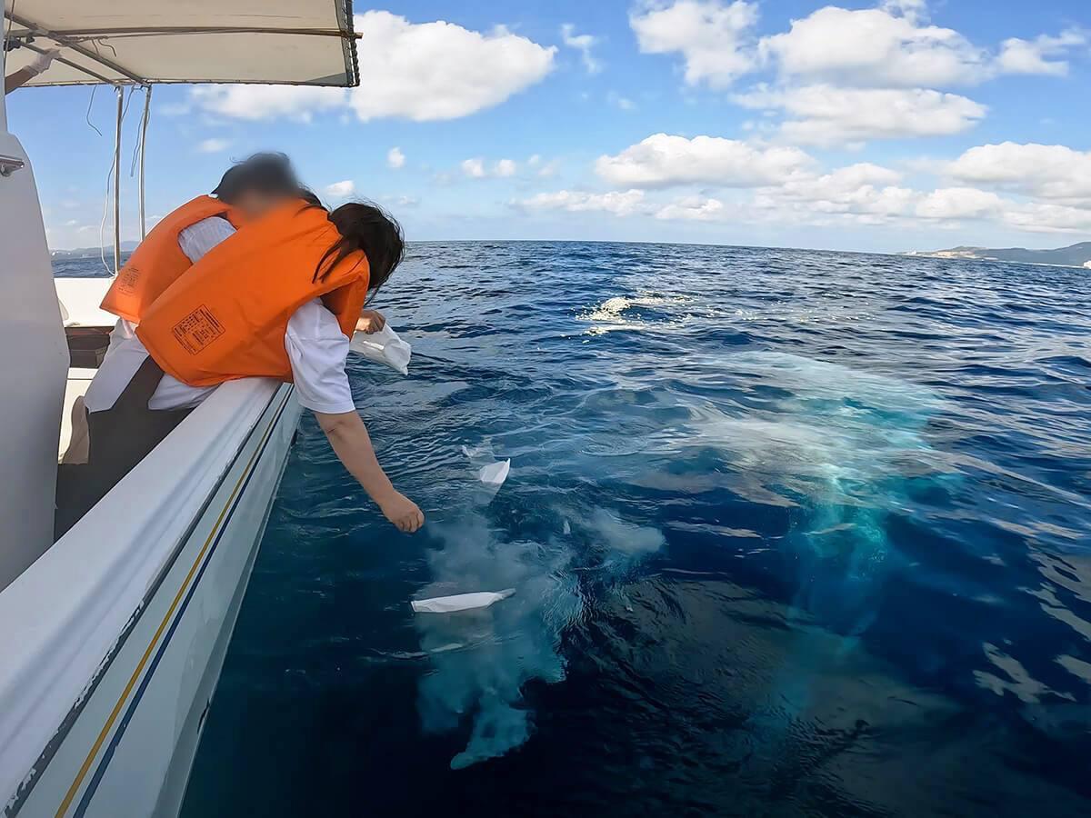 4.ご遺骨を海へそっと還します