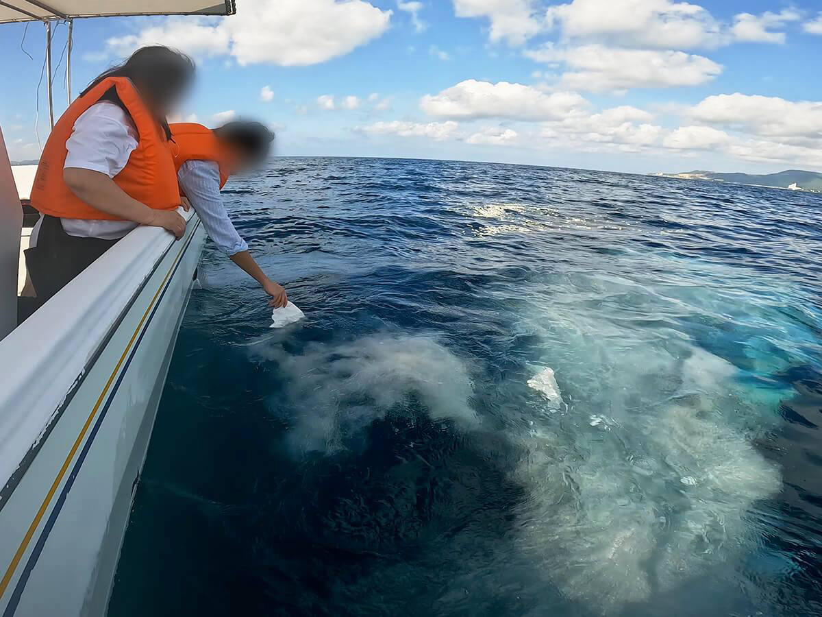 5.名護の海とひとつになる