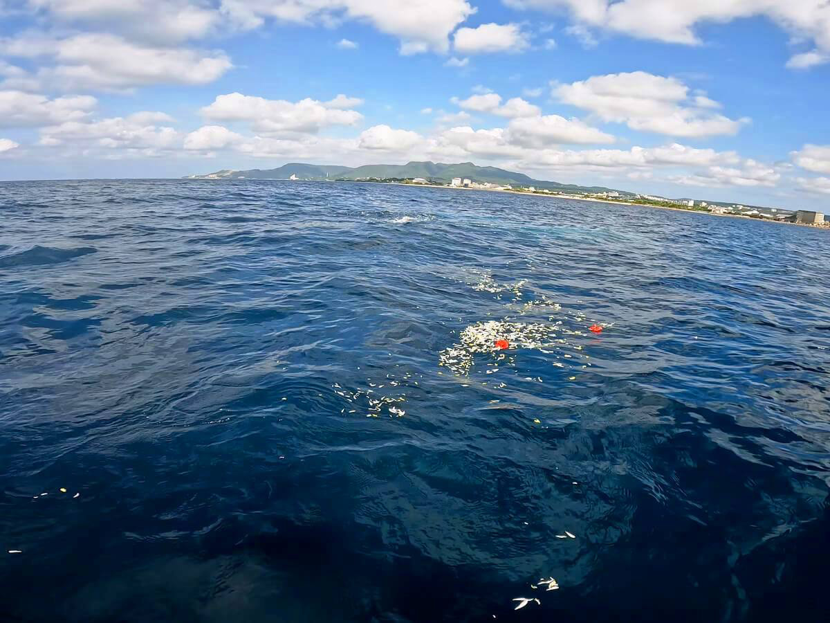 7.赤いハイビスカスが海を彩ります　※ニュース、インデックスに使用