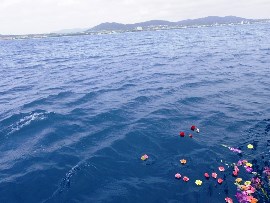 6.ご遺族に代わり心を込めて送ります