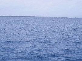 7.故人様が選ばれた石垣島、竹富島の海