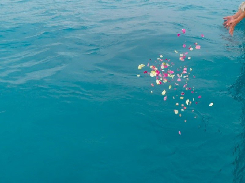 4.美しい海へ