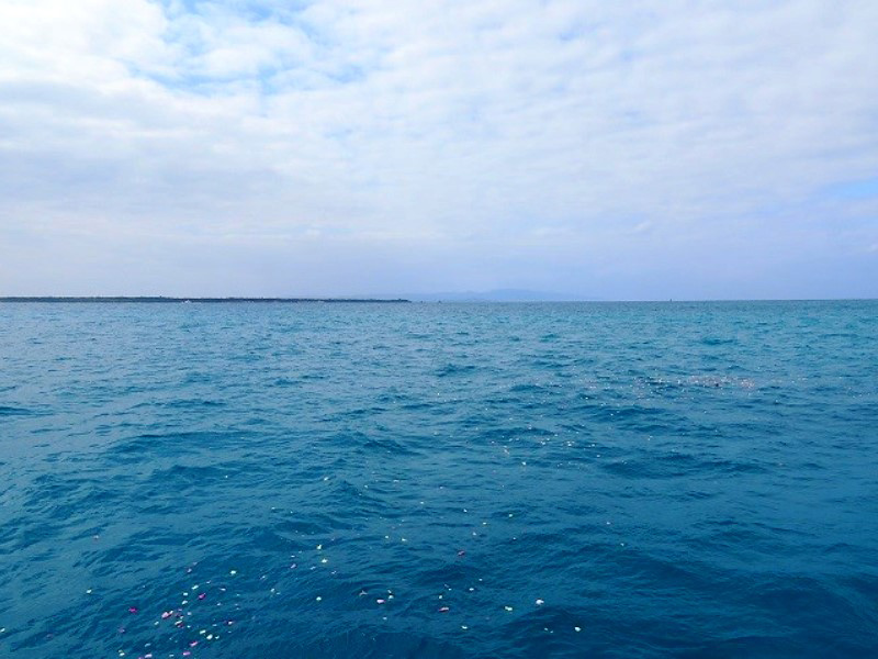 5.竹富島沖へ