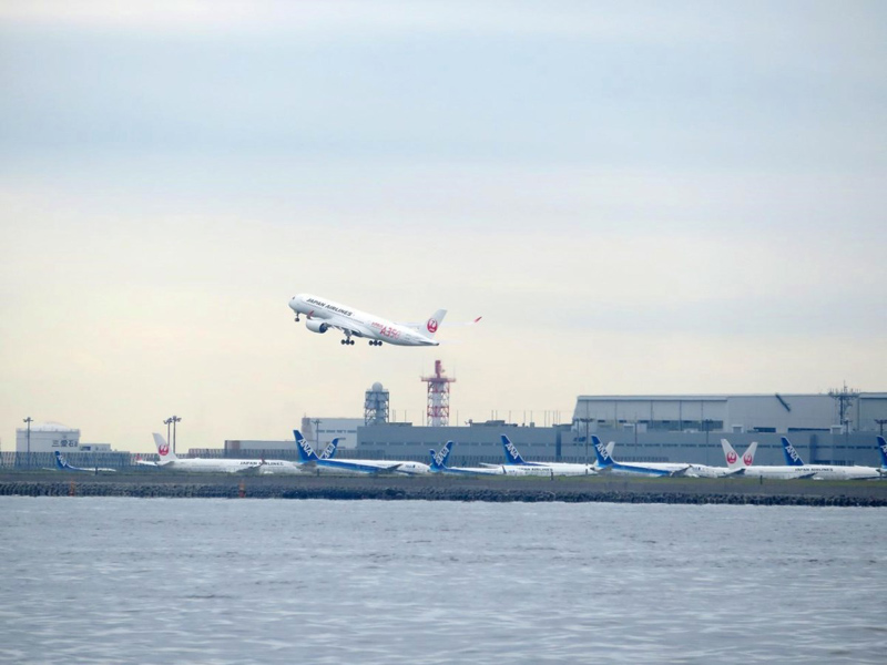 6.JAL「A350」