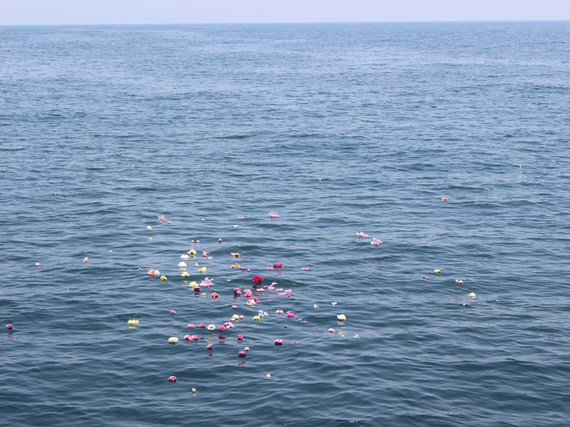 6.穏やかな海にとどまる花びら