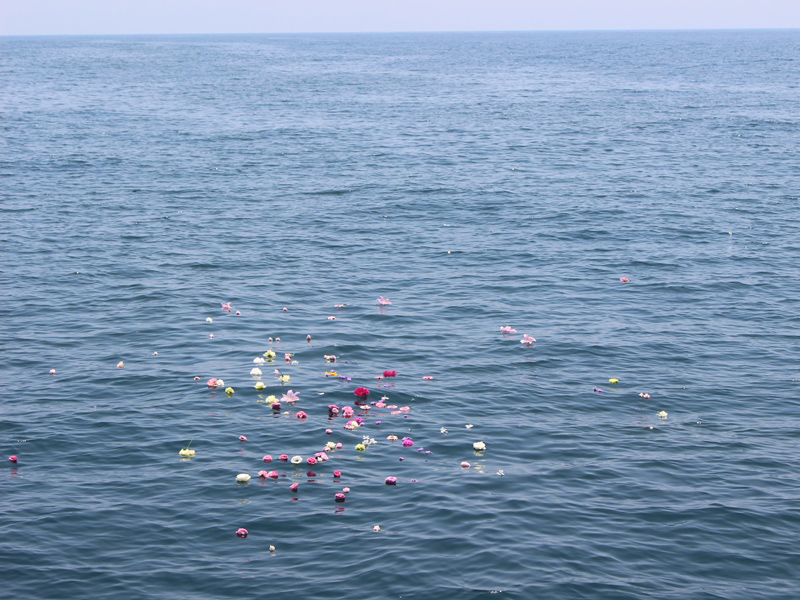 6.穏やかな海にとどまる花びら