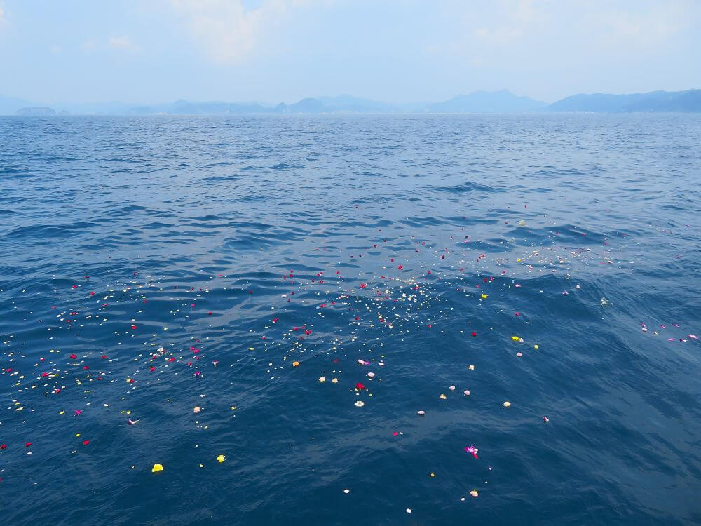 5.故郷の海へ