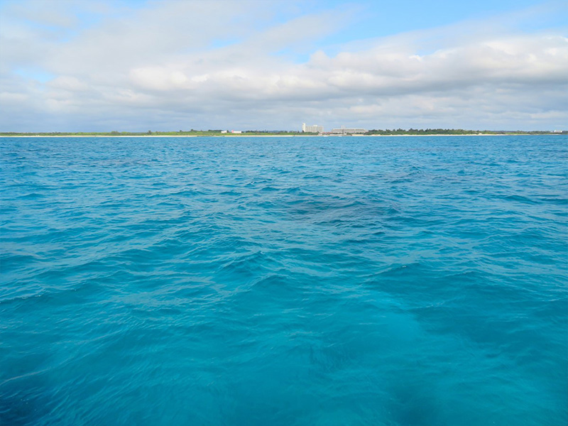 4.いつもの海が迎えてくれます