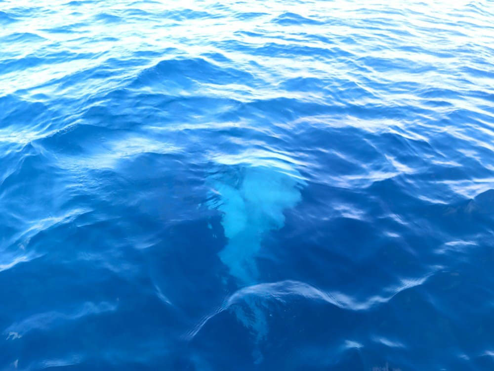 6.自然に還っていく様子