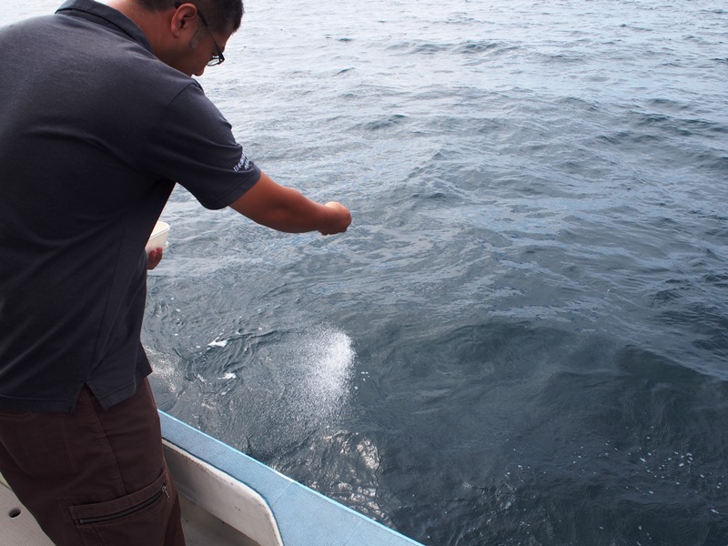 9.白砂をまいて潮の流れを確認