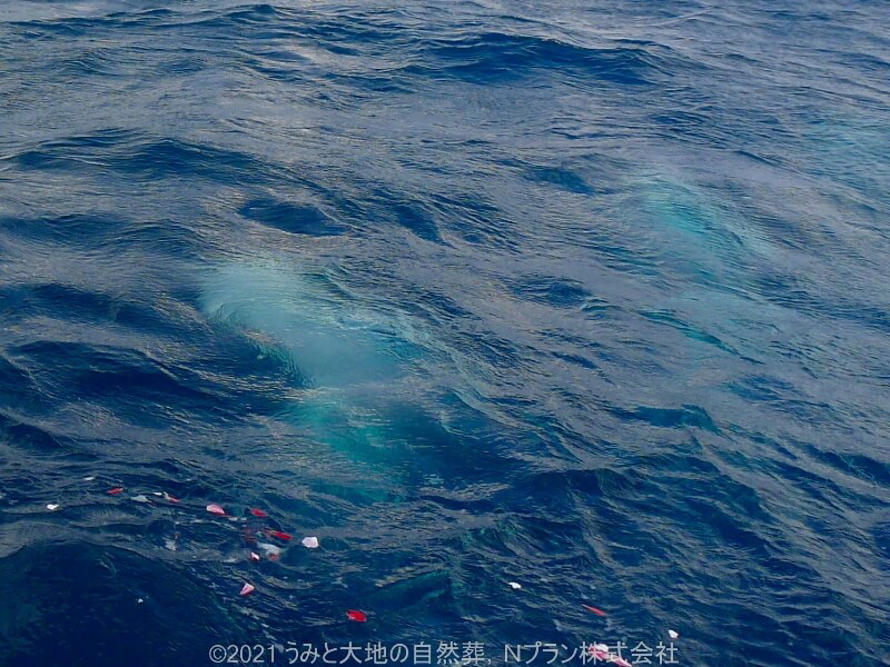 4.青い海に溶けてひとつに