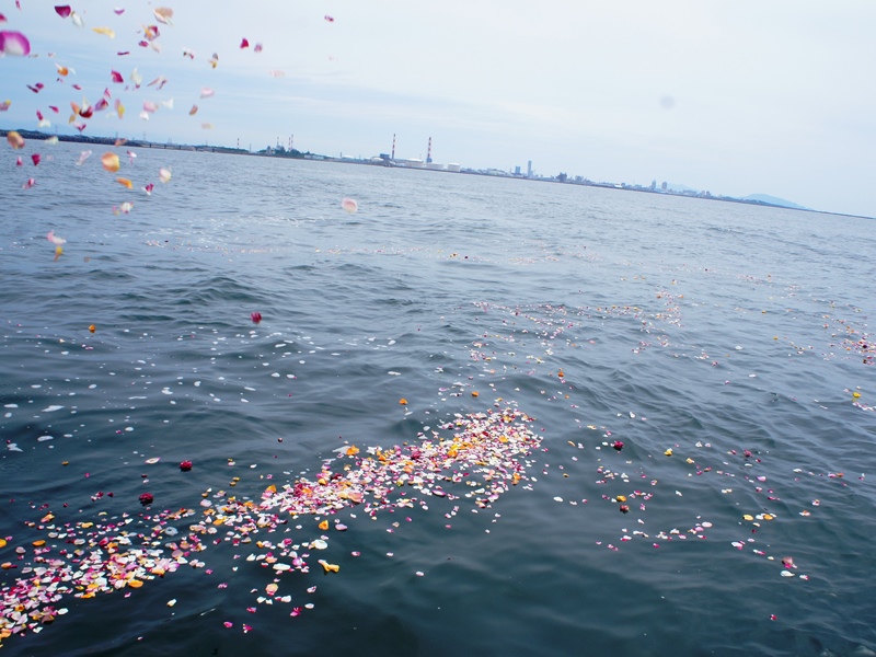 6.流れていく色とりどりの花