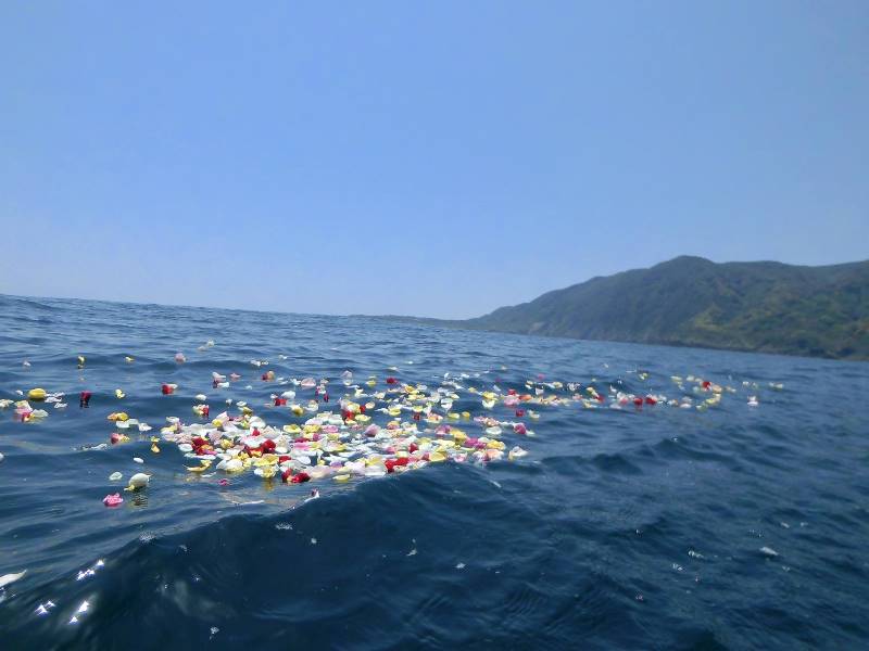 6.浮かぶ花びらを見送ります