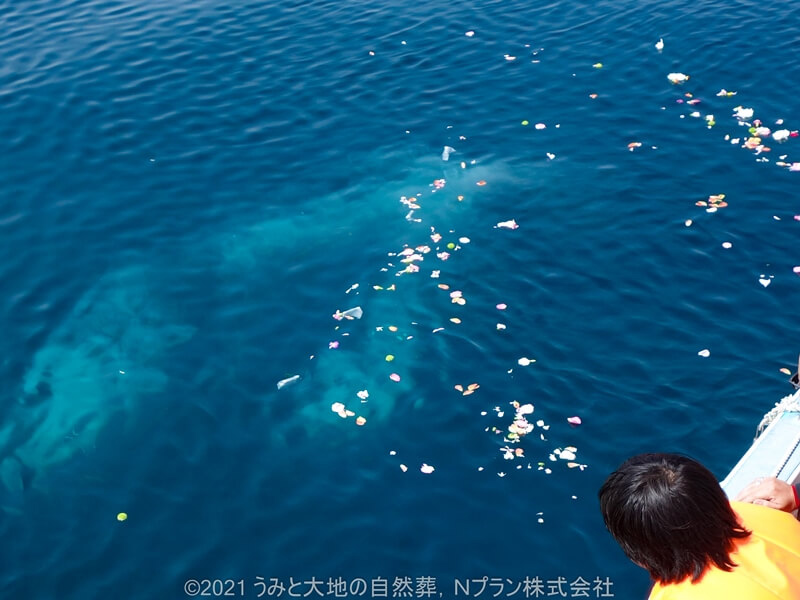 3.透明な海に溶けていく