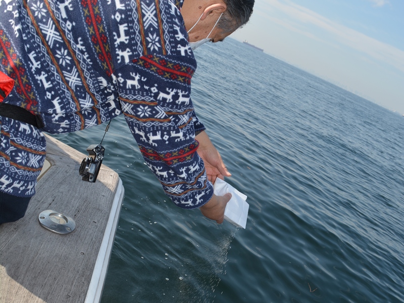 1.海を見つめながら散骨