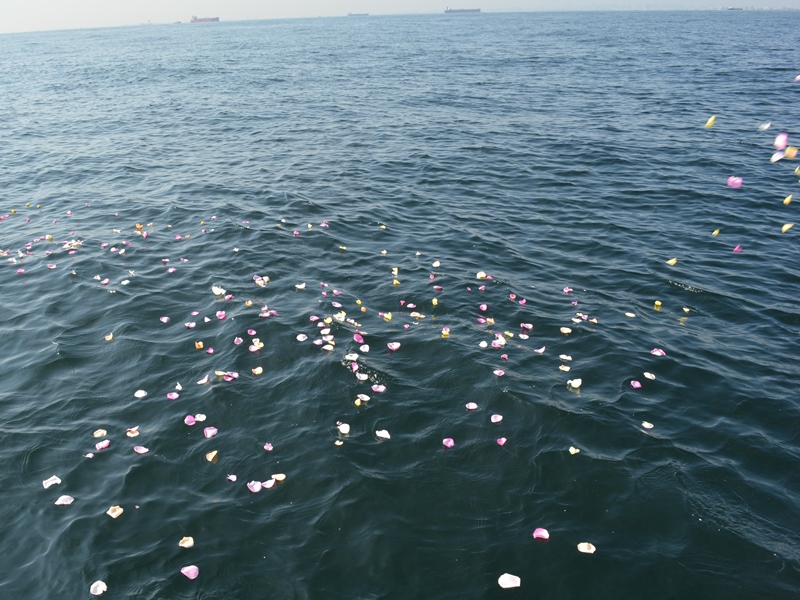 5.花びらはゆっくりと東京湾に広がります