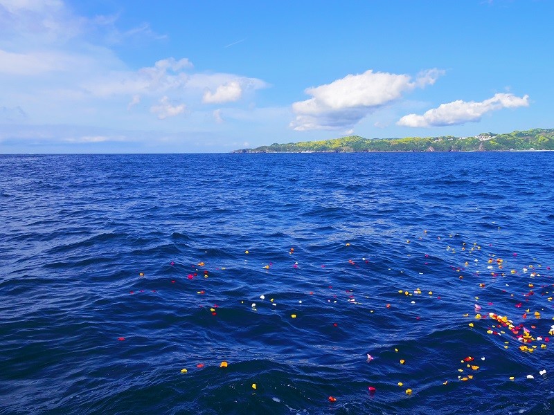 6.伊豆半島を包み込むまさに群青の海