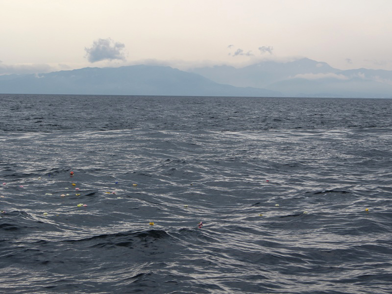 8.雄大な顔を見せる相模湾