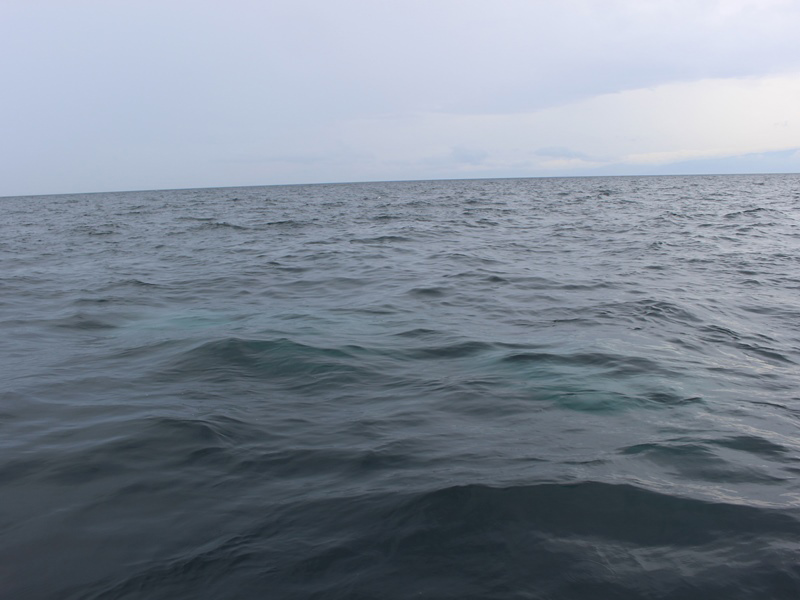 12.海中にご遺骨が溶けていきます