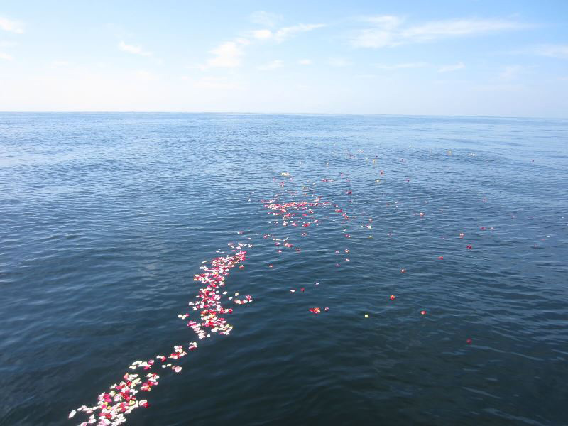 3.遠くまで続く花道