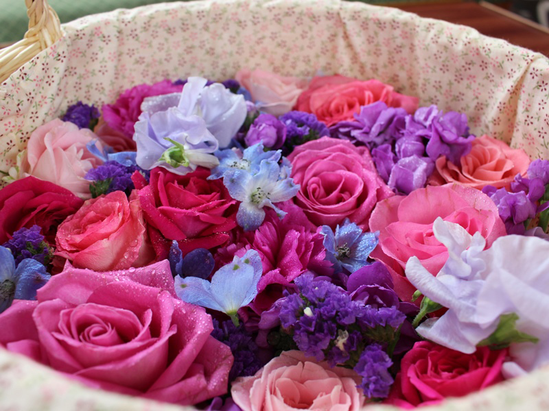 1.ピンクと紫の花かご