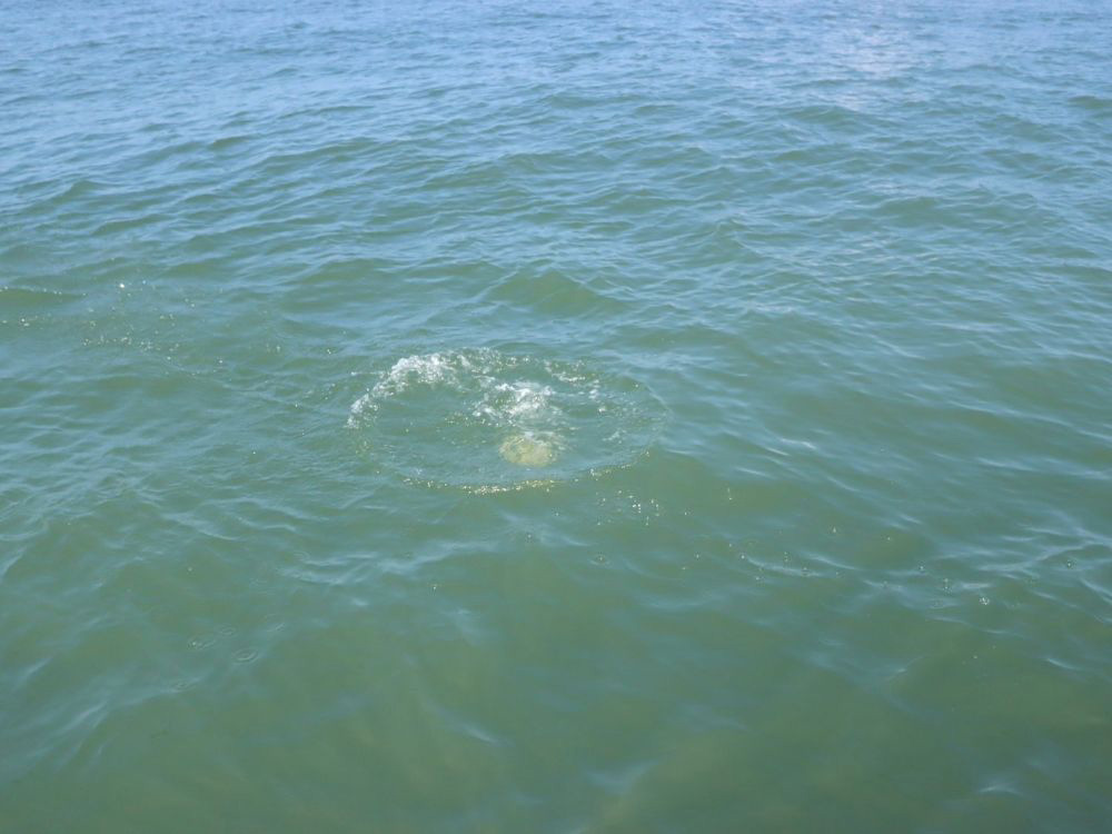 3.ゆっくり海へと還る瞬間