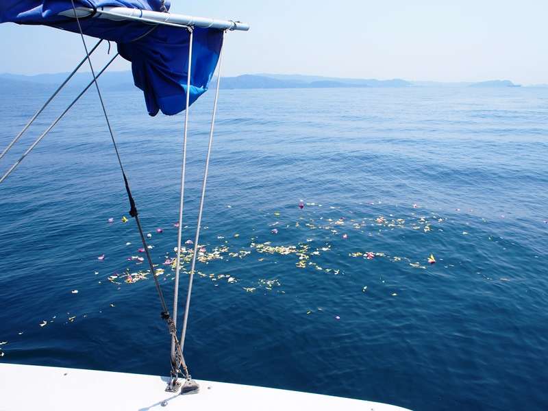 7.透き通ったグリーンの海へ広がる花びら